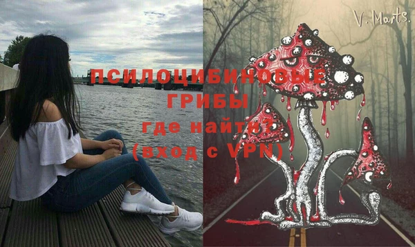 гидропоника Сосновый Бор