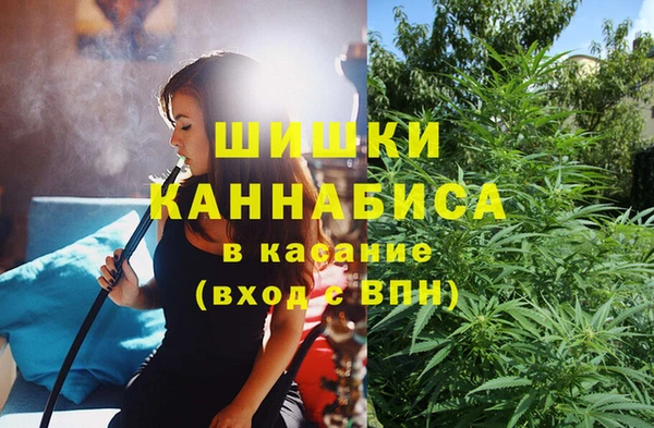 ПСИЛОЦИБИНОВЫЕ ГРИБЫ Сосновоборск