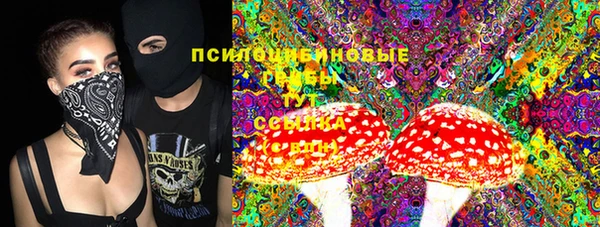 твердый Сосновка